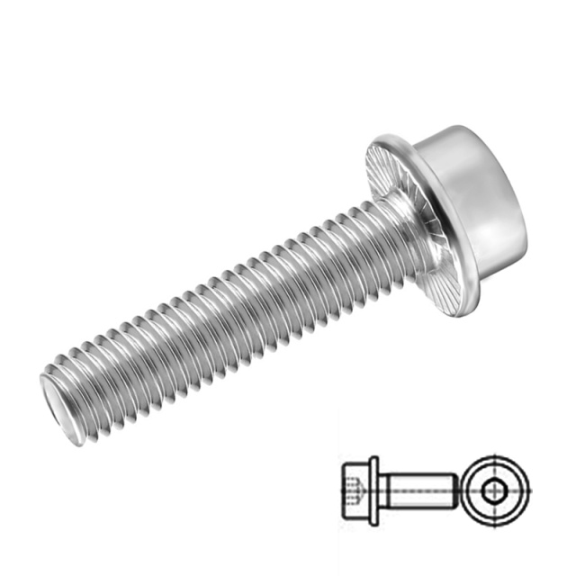 DIN 251 Socket Flange Bolt M2x20 304 Stainless Steel