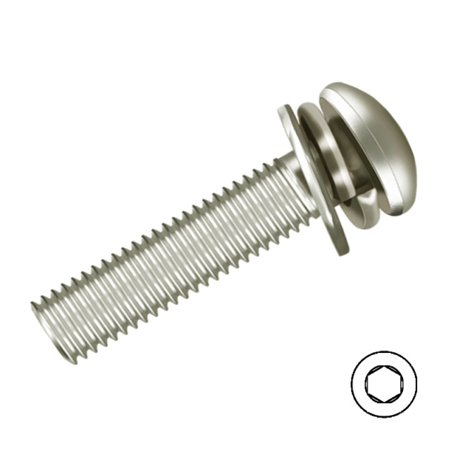 Button Head Socket Screw with Washers M6x30 10B21 Carbon Steel