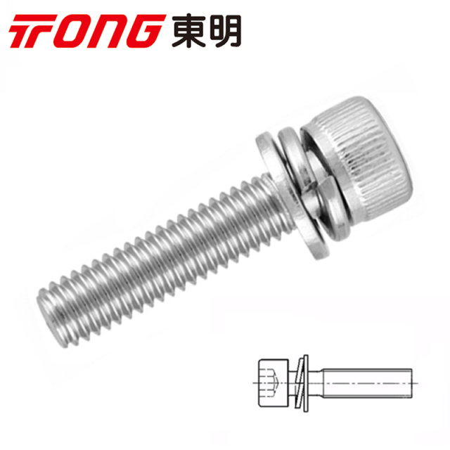 Socket Head Cap Screw with Spring & Plain Washers M5x16 316 Stainless Steel
