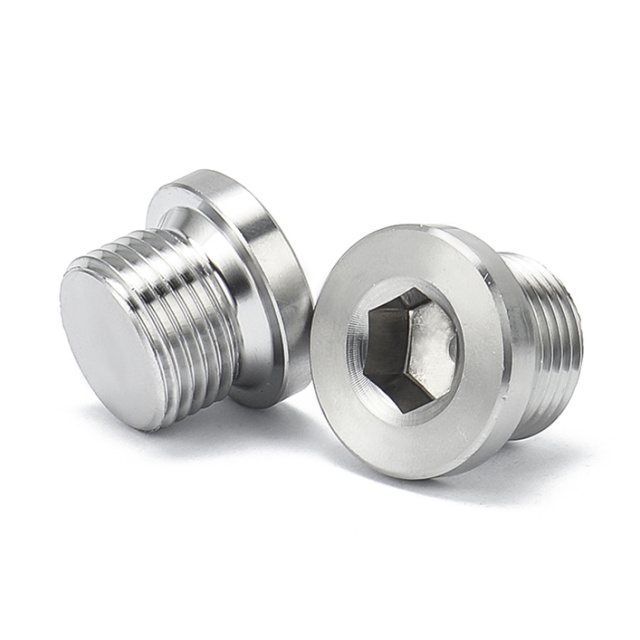 Flange Socket Plug M36 304 Stainless Steel