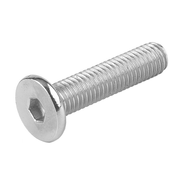 Socket Low Head Cap Screw M2x2 304 Stainless Steel