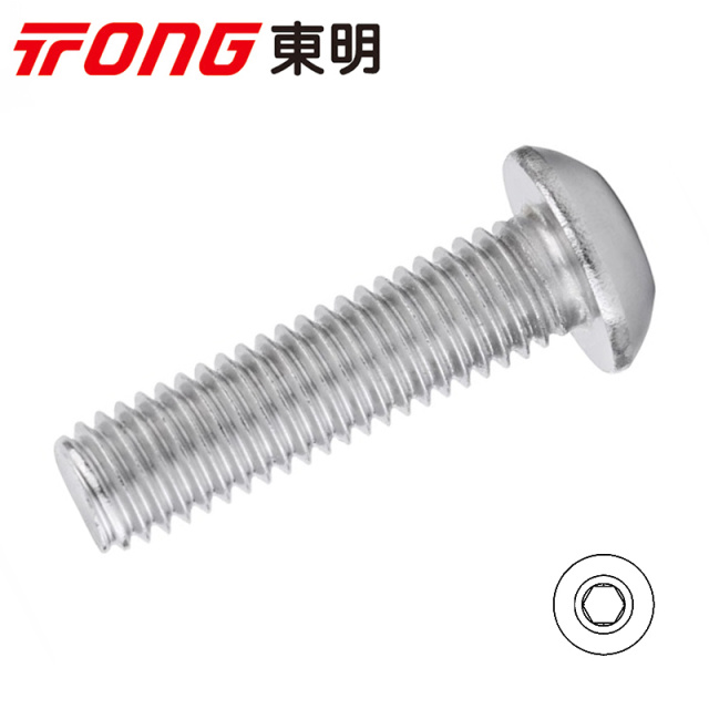 ISO 7380 Button Head Socket Screw M2x3 304 Stainless Steel