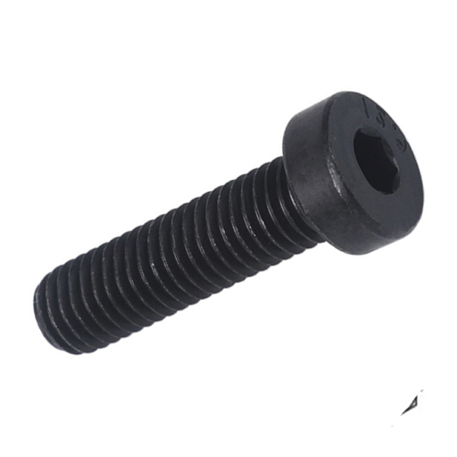 Socket Low Head Cap Screw Full Thread M2x4 40Cr Alloy Steel